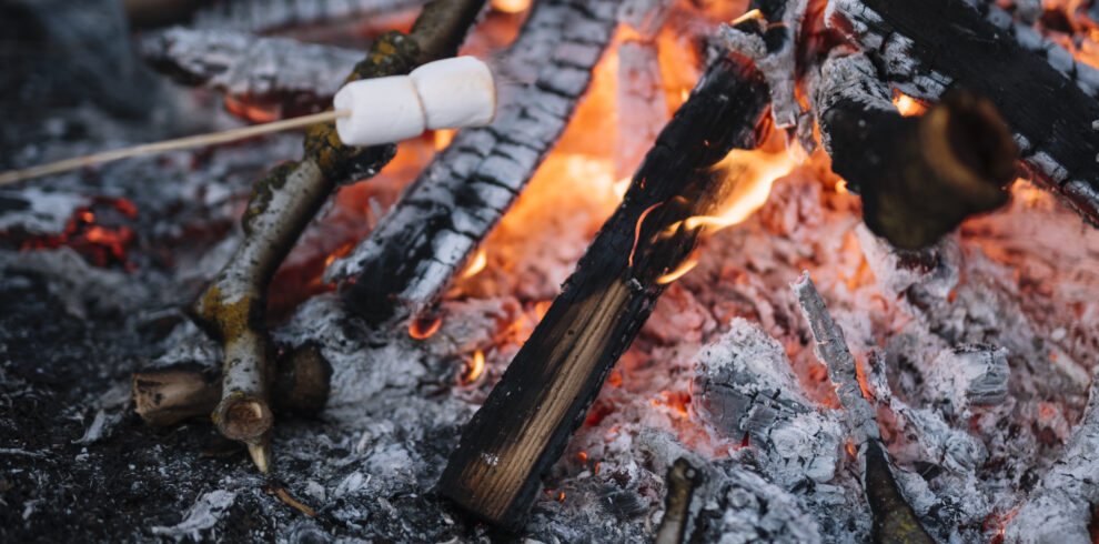 close-up-campfire-arrangement